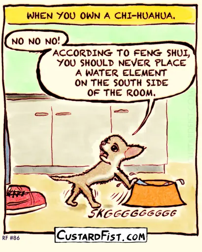 A Chihuahua pushes his water bowl across the room. It looks up at its owner annoyed and says: NO NO NO! ACCORDING TO FENG SHUI, YOU SHOULD NEVER PLACE A WATER ELEMENT ON THE SOUTH SIDE OF THE ROOM. The caption says: WHEN YOU OWN A CHI-HUAHUA